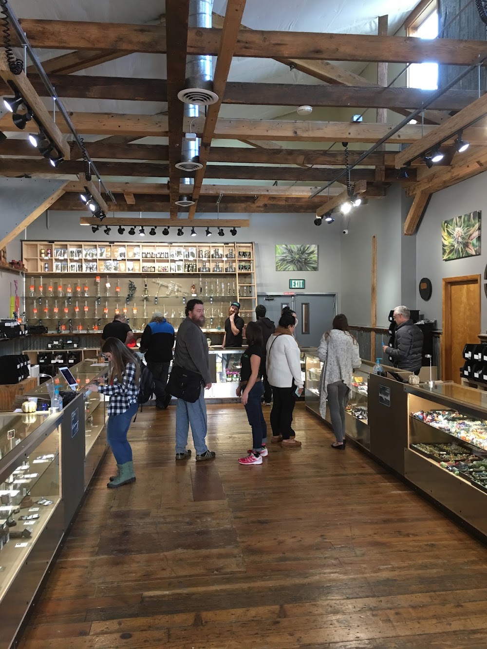 Piece Of Mind Cannabis photo 3