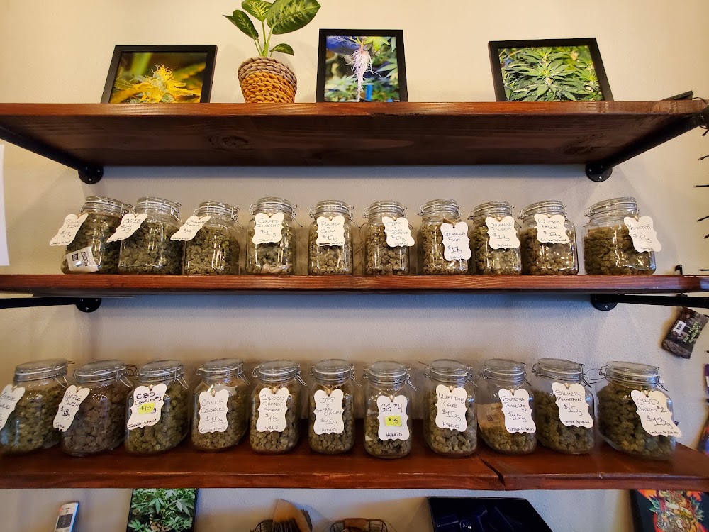 Pine Street Cannabis Company photo 3