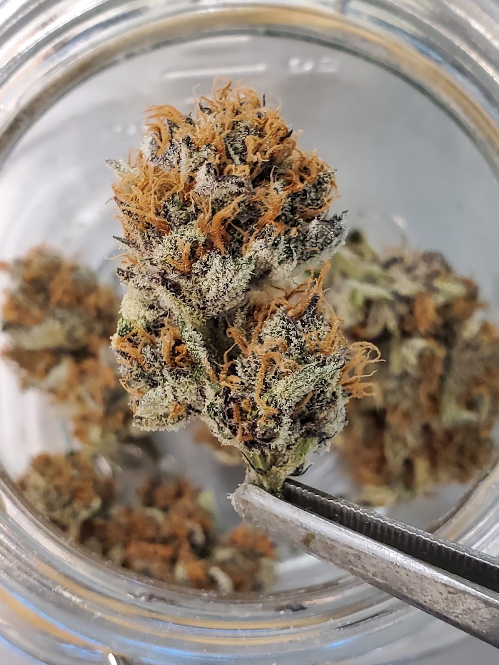 Pine Street Cannabis Company photo 4