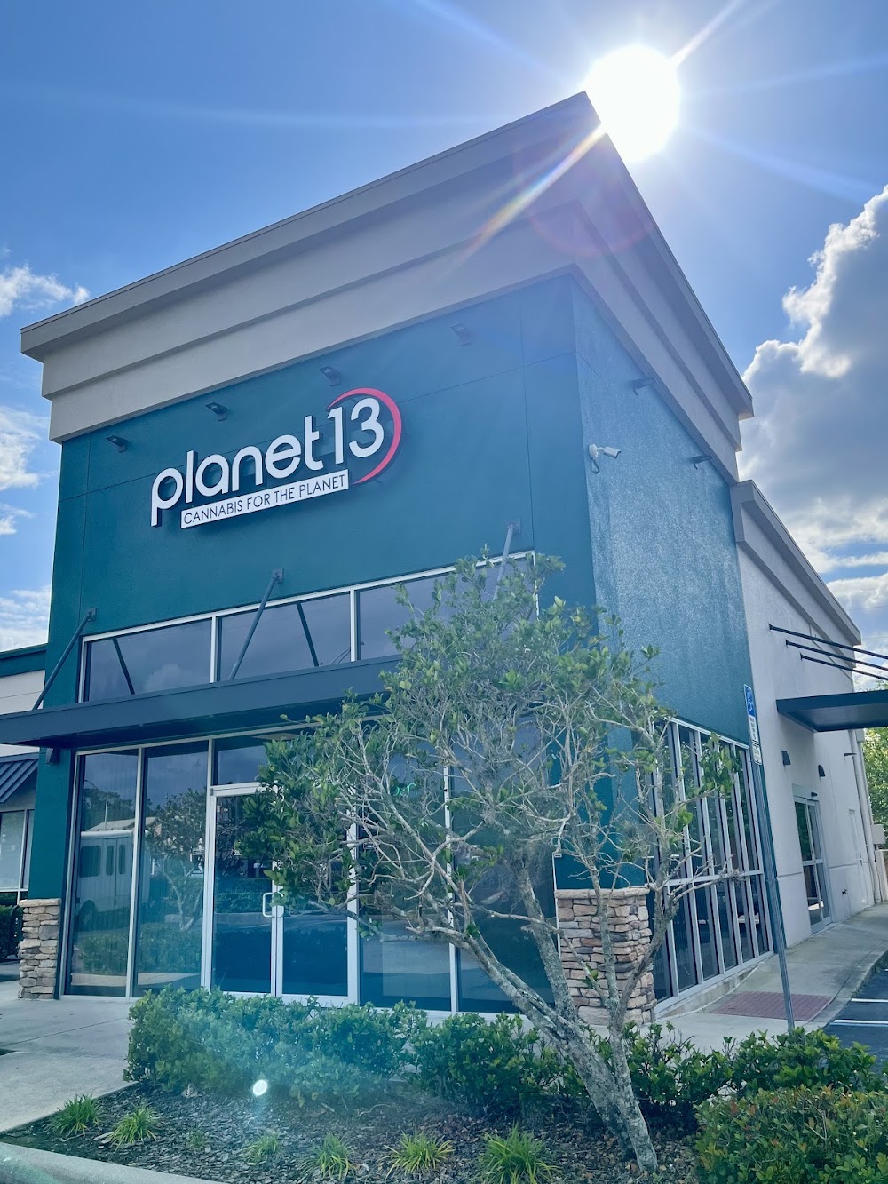 Planet 13 photo 4