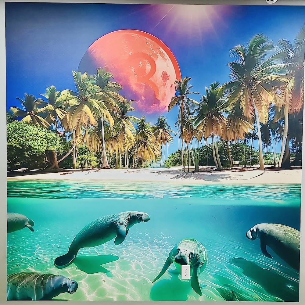 Planet 13 photo 3
