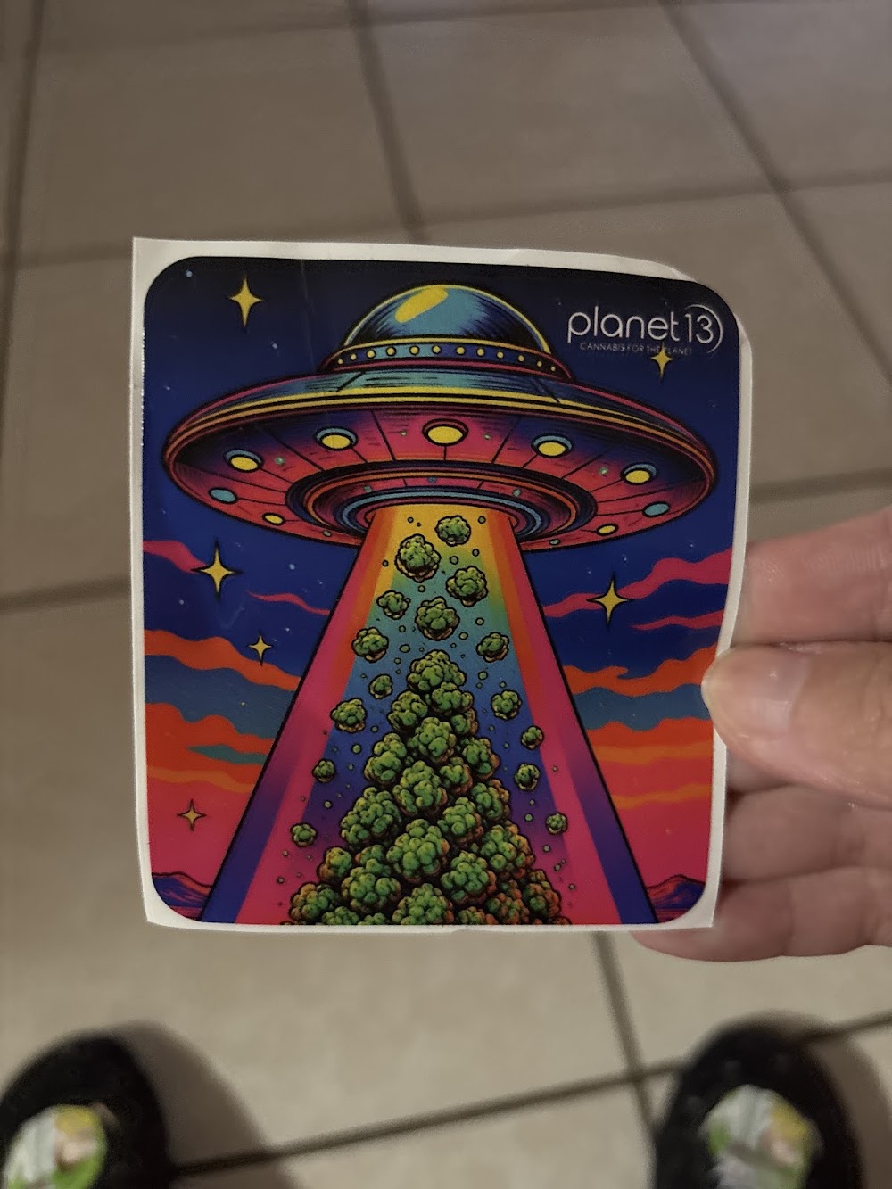 Planet 13 photo 8