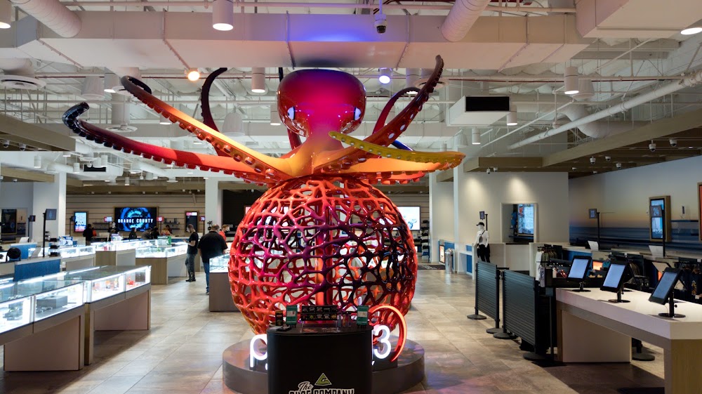 Planet Catalyst photo 3