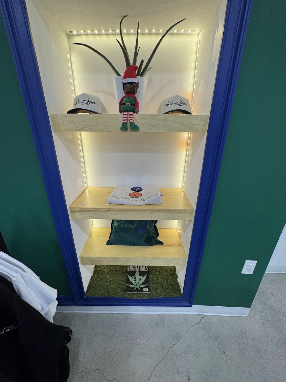 Plant Base photo 6