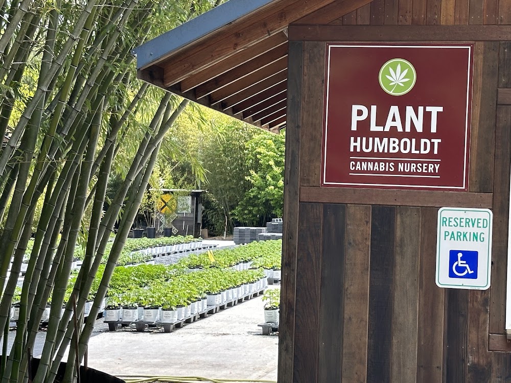Plant Humboldt photo 1