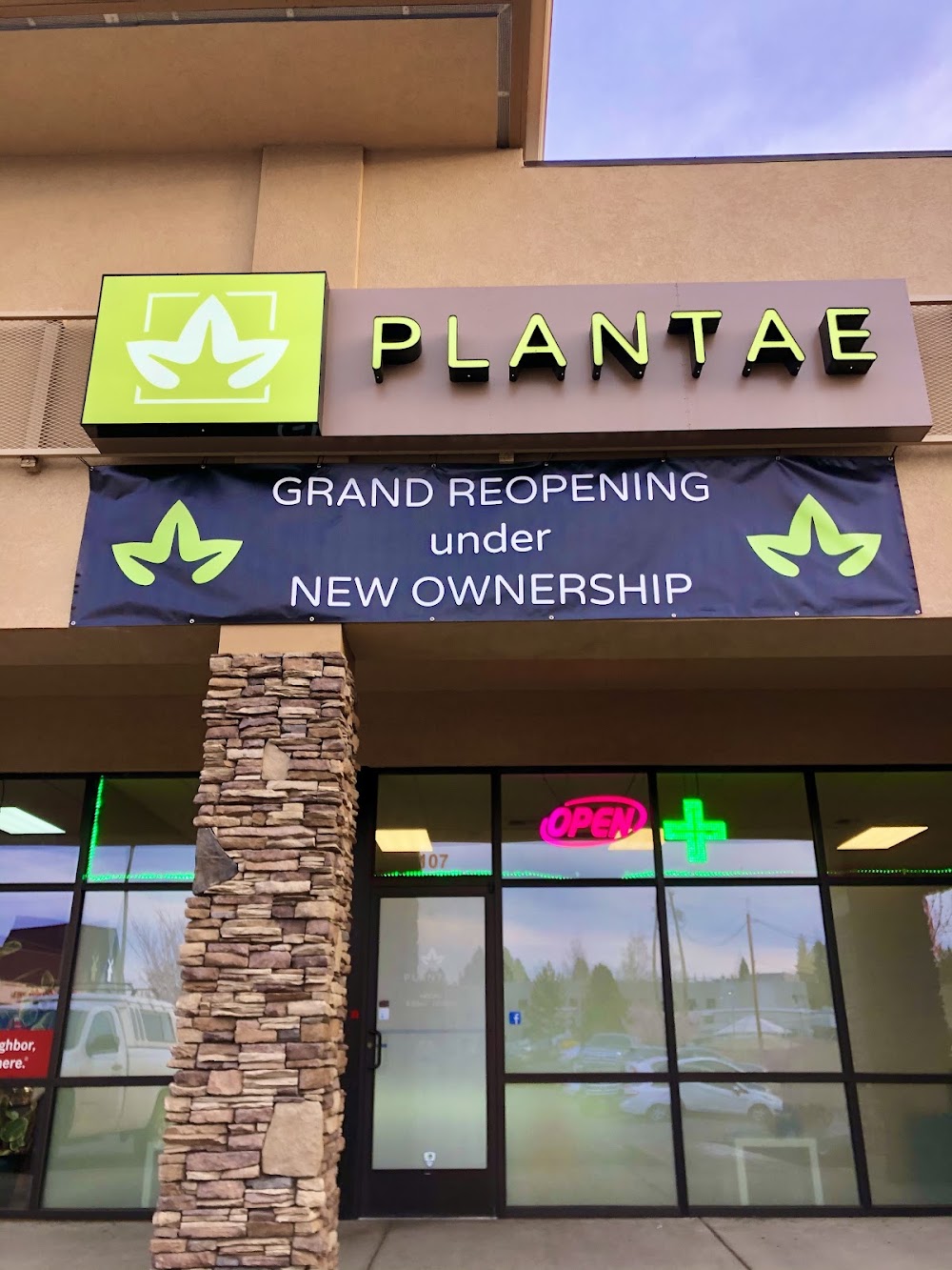 Plantae photo 1