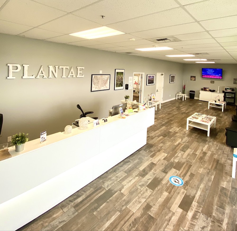 Plantae photo 5