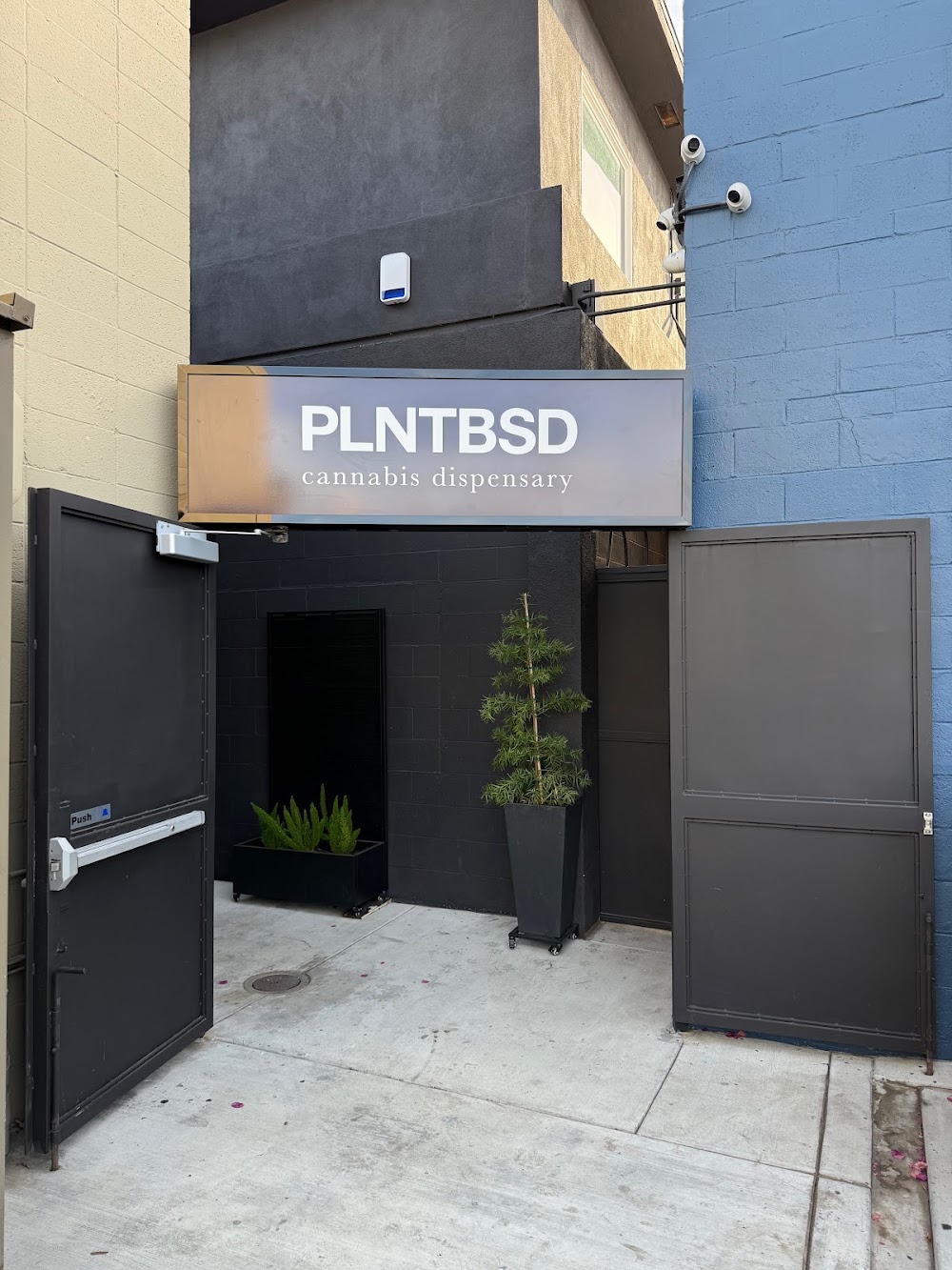 Plntbsd photo 1