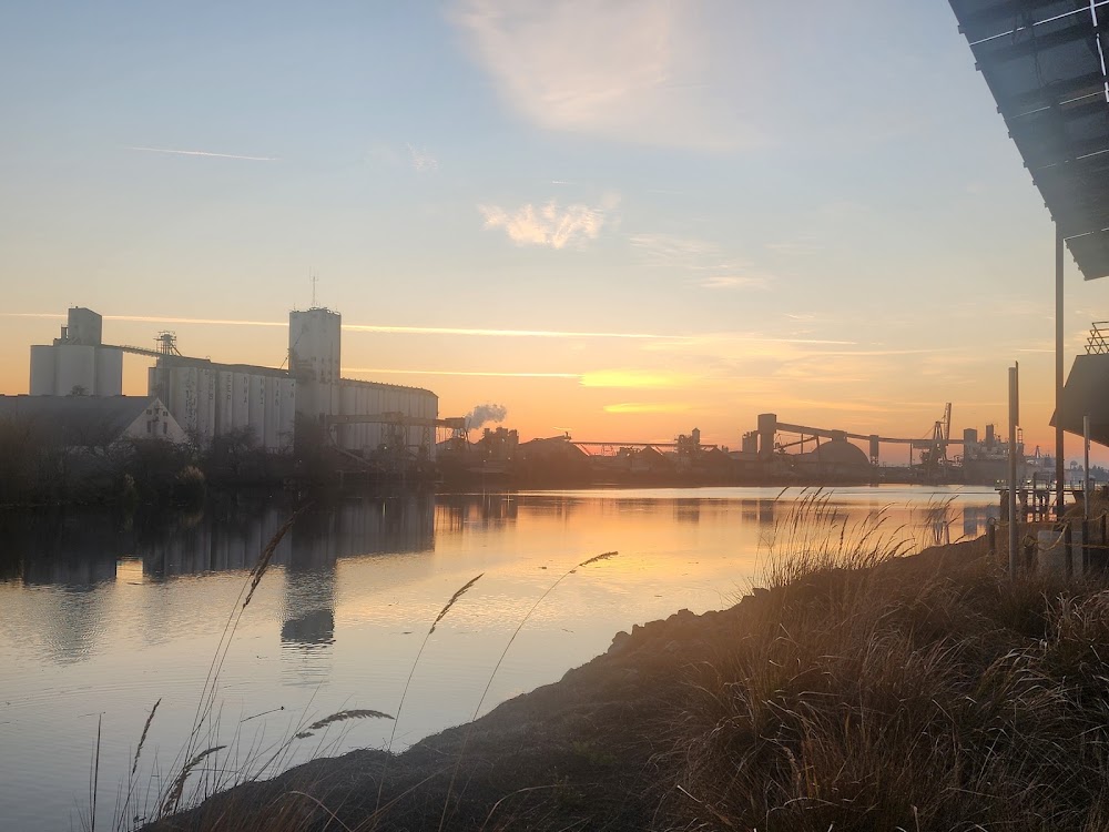 Port City Alternative Of Stockton photo 6