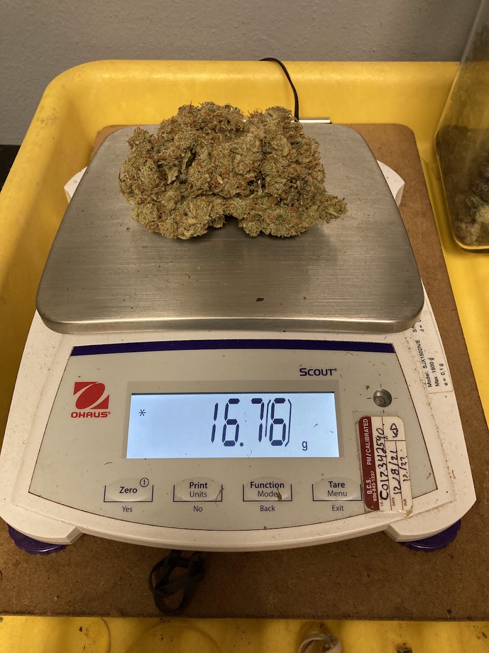 Portland Pot Shop photo 5