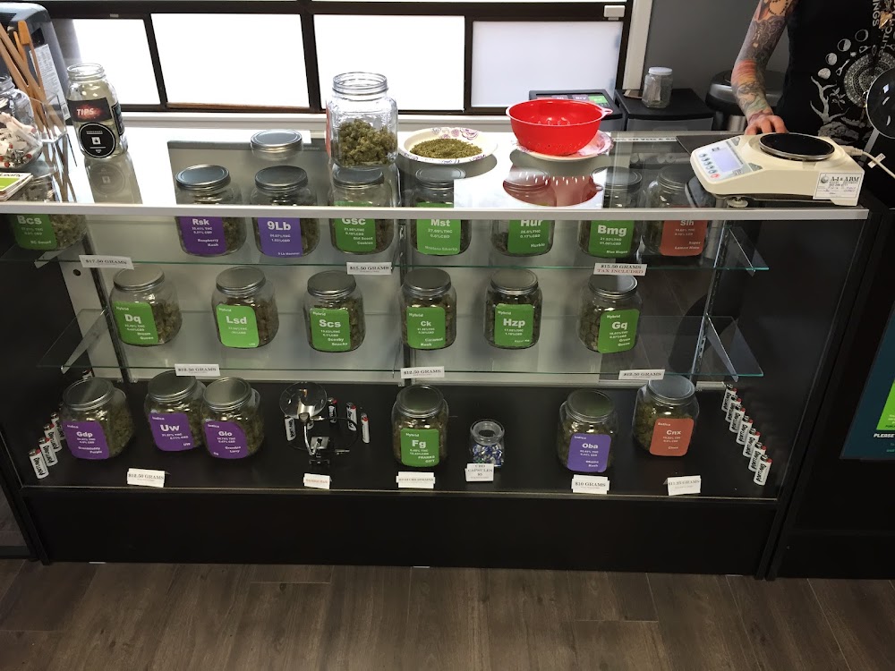 Portland Pot Shop photo 8