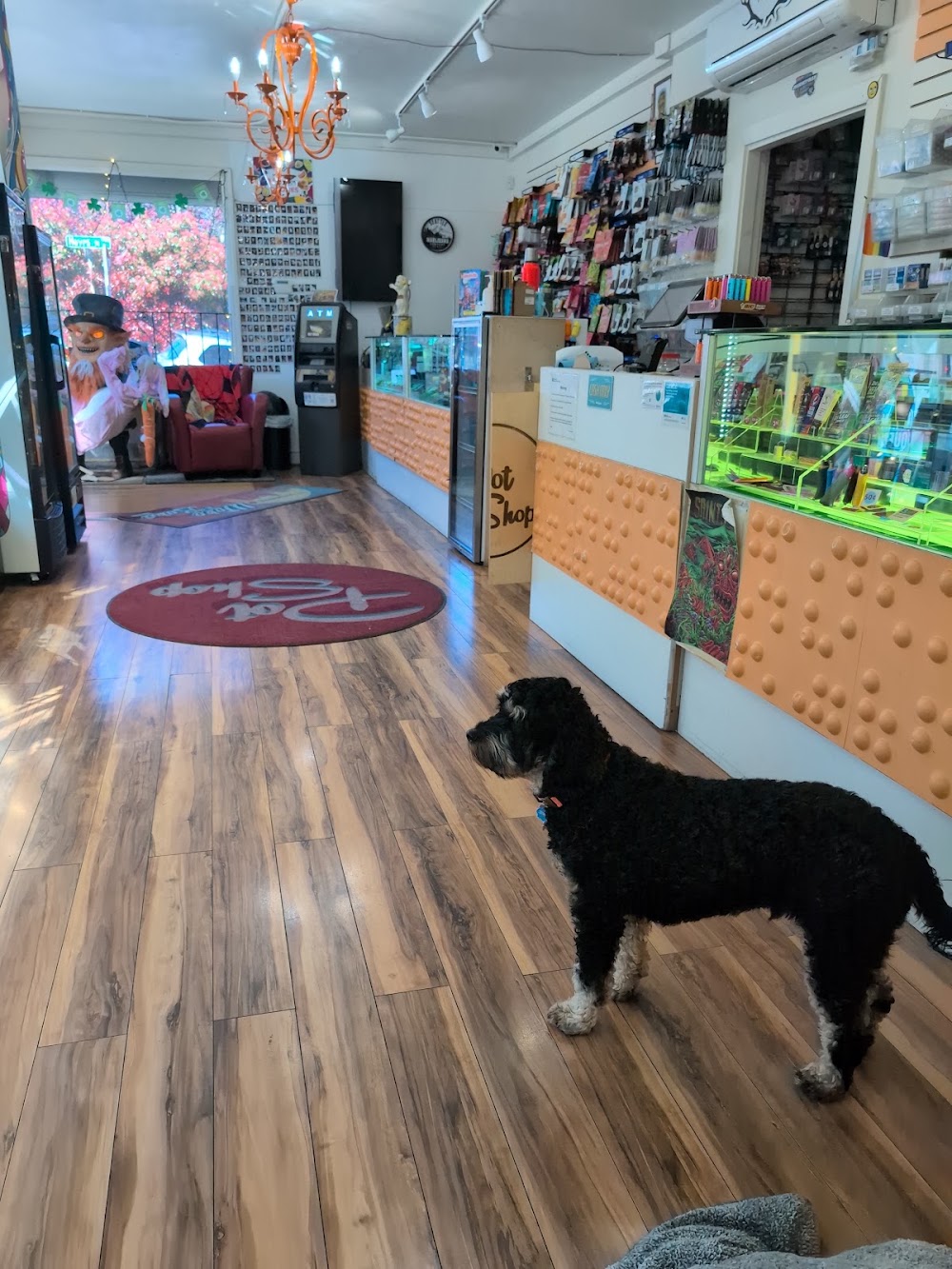Pot Shop photo 8