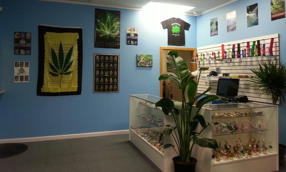 Pot Zone photo 2