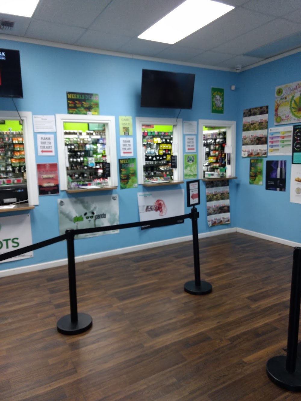 Pot Zone photo 3