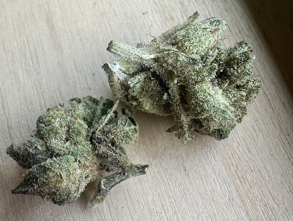 Premium Choice Marijuana photo 8
