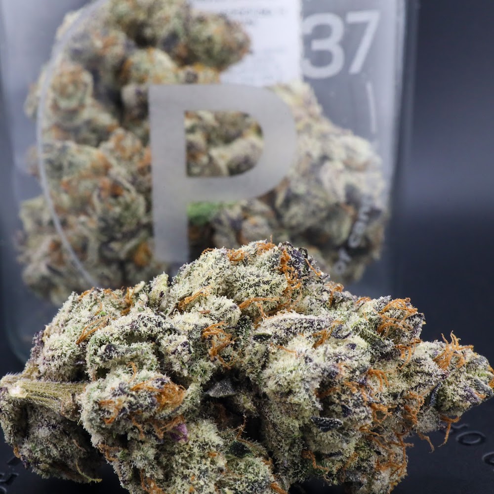 Prohibition 37 – Sunland Park photo 4