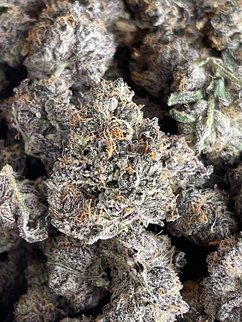 Proper Cannabis Of Norman photo 8