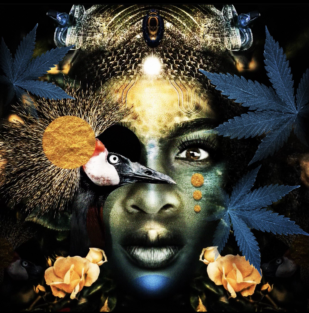 Proud Mary Cannabis photo 3