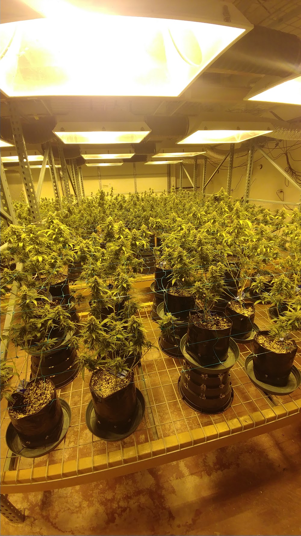 Pueblo West Organics photo 2