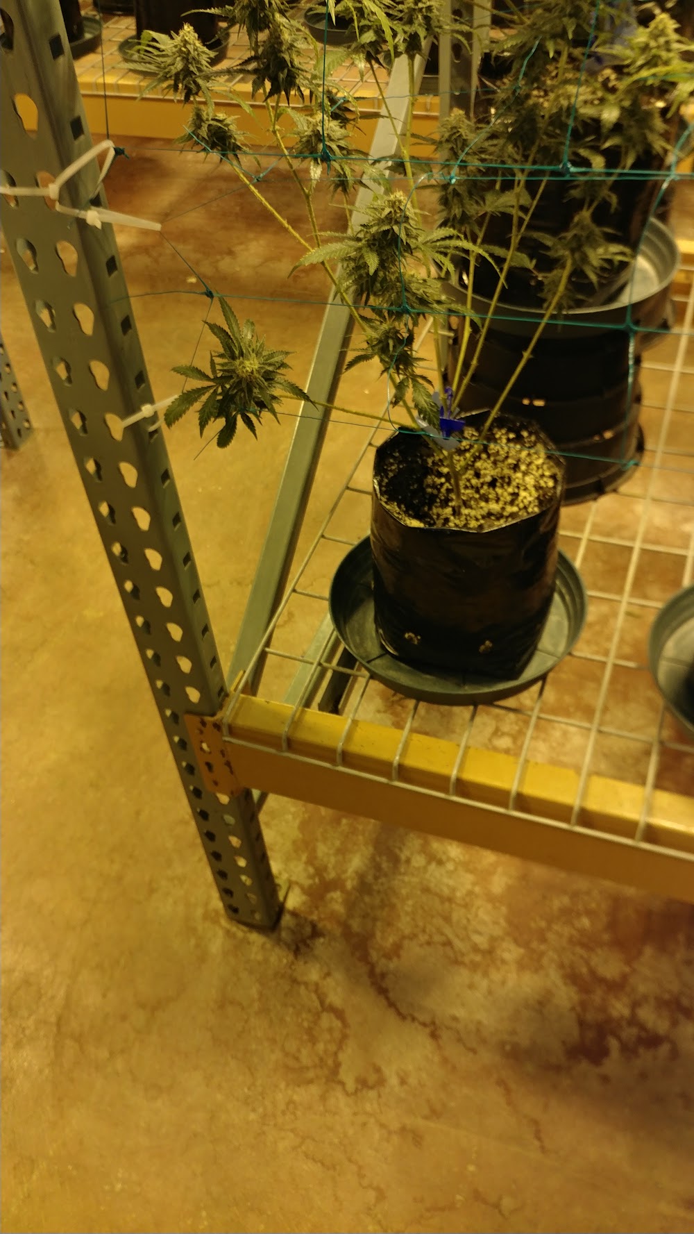 Pueblo West Organics photo 6