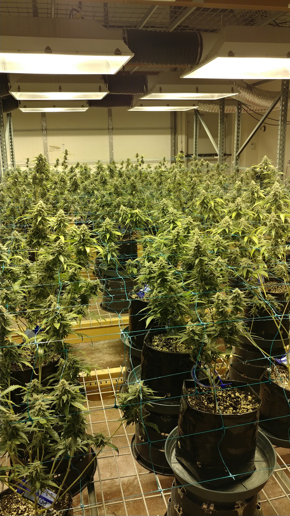 Pueblo West Organics photo 7