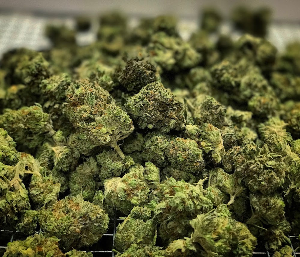 Pueblo West Organics photo 8