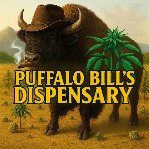 Puffalo Bills photo 3
