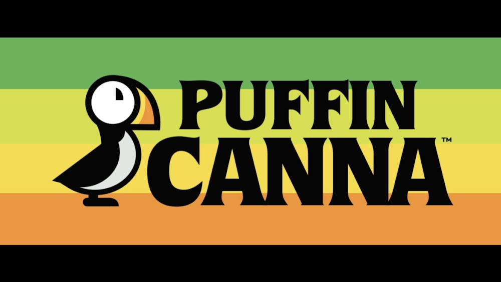 Puffin Canna photo 8