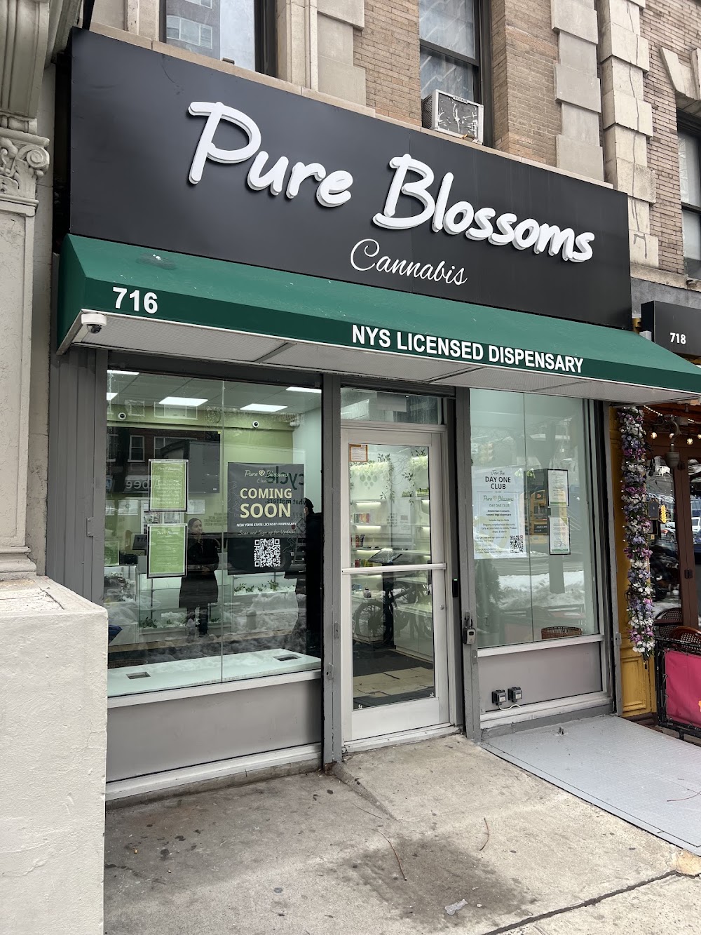 Pure Blossoms photo 5