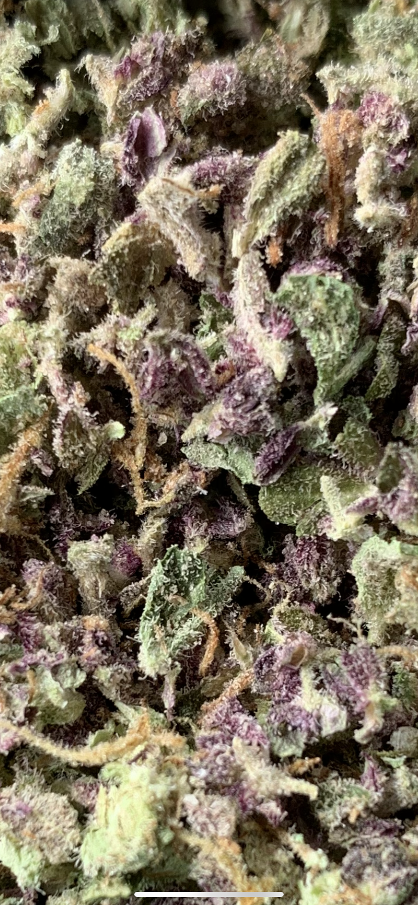 Pure Dakota Health - Fargo photo 2