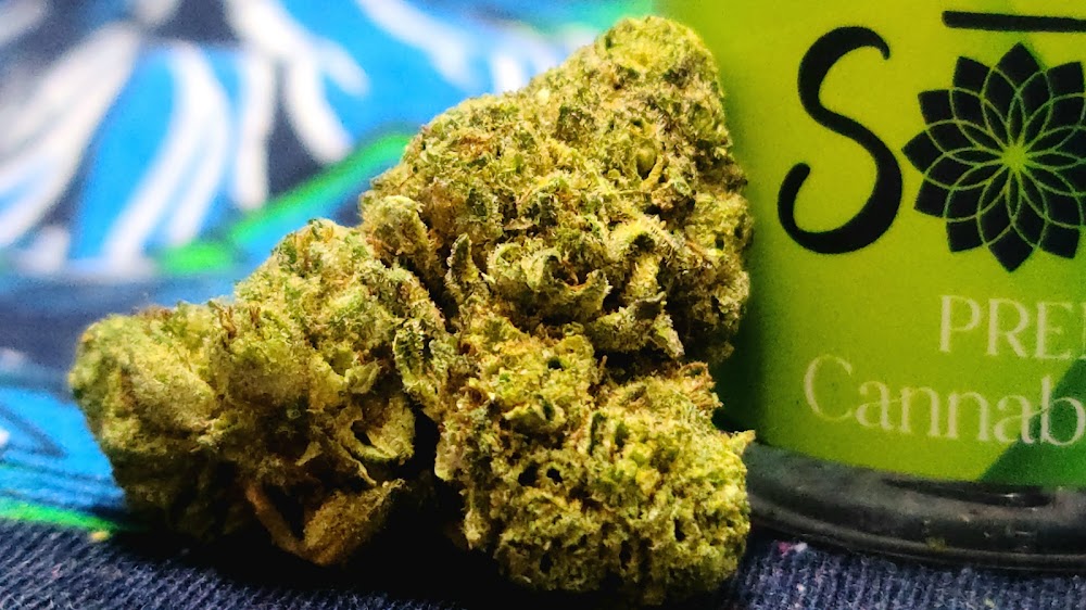 Purlife Dispensary - Truth Or Consequences photo 3