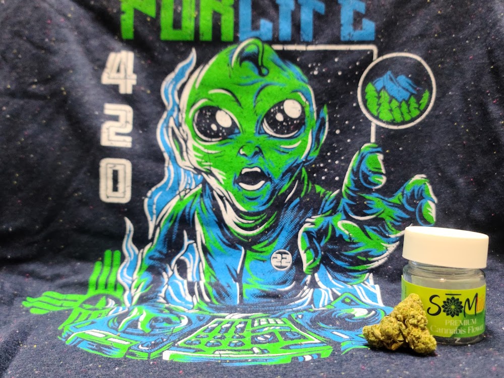 Purlife Dispensary - Truth Or Consequences photo 8