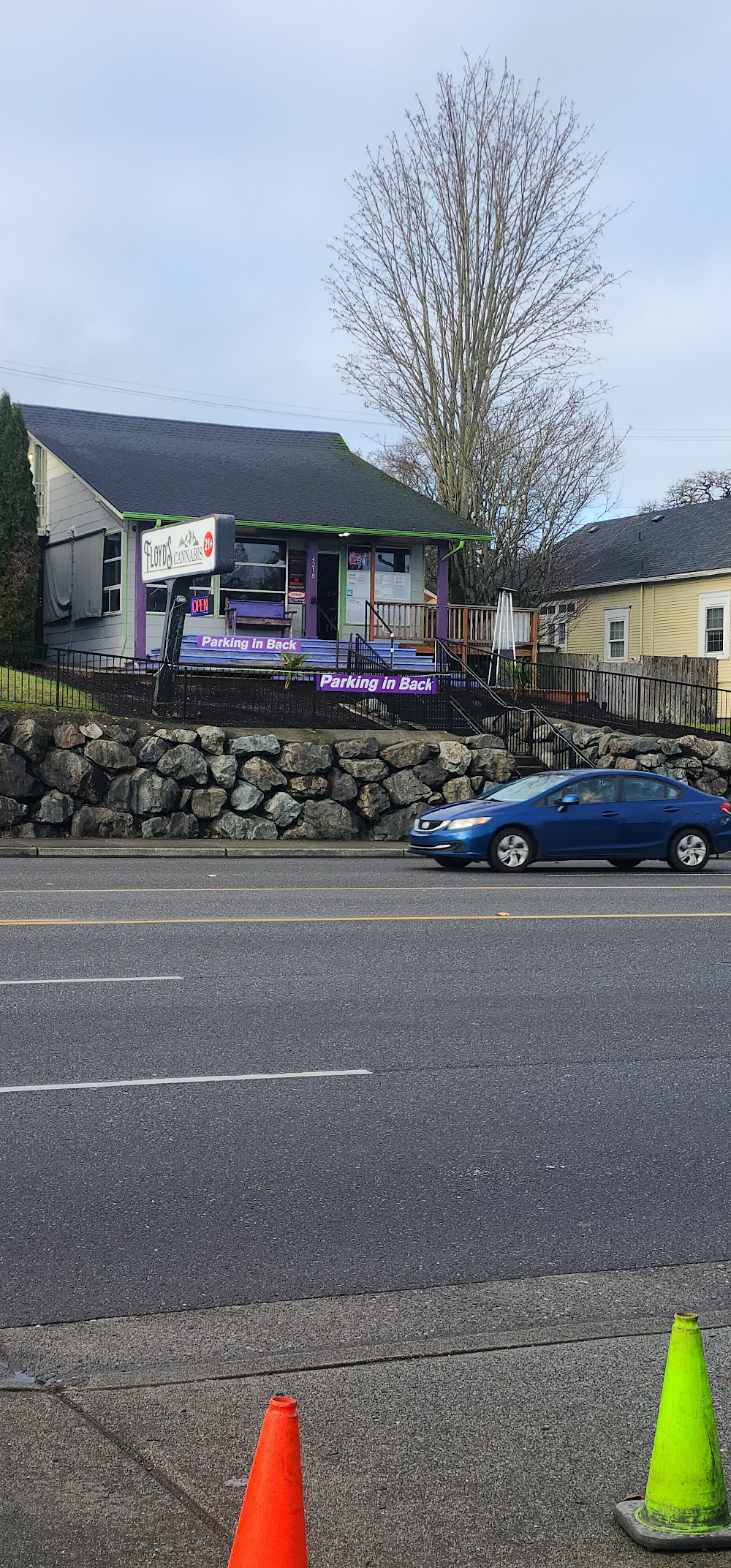 Purple Haze photo 3