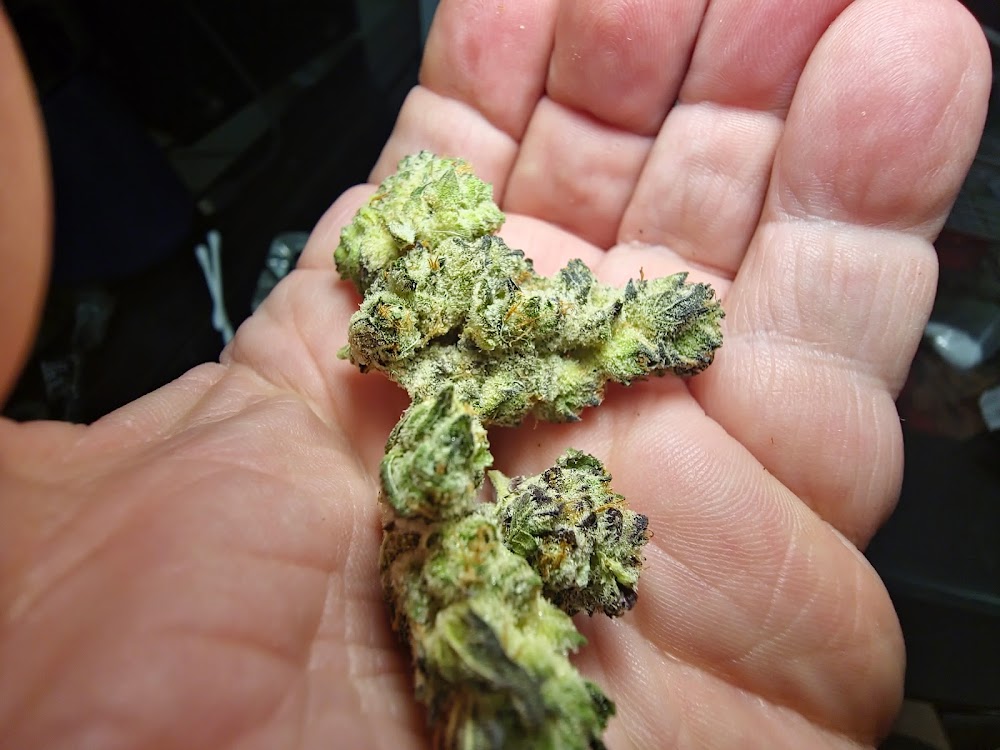 Queen City Medical Cannabis photo 6
