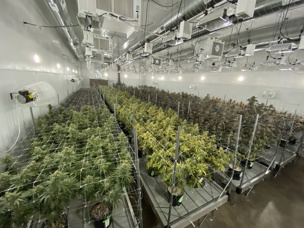 R Greenleaf Cannabis Dispensary - Westside photo 6