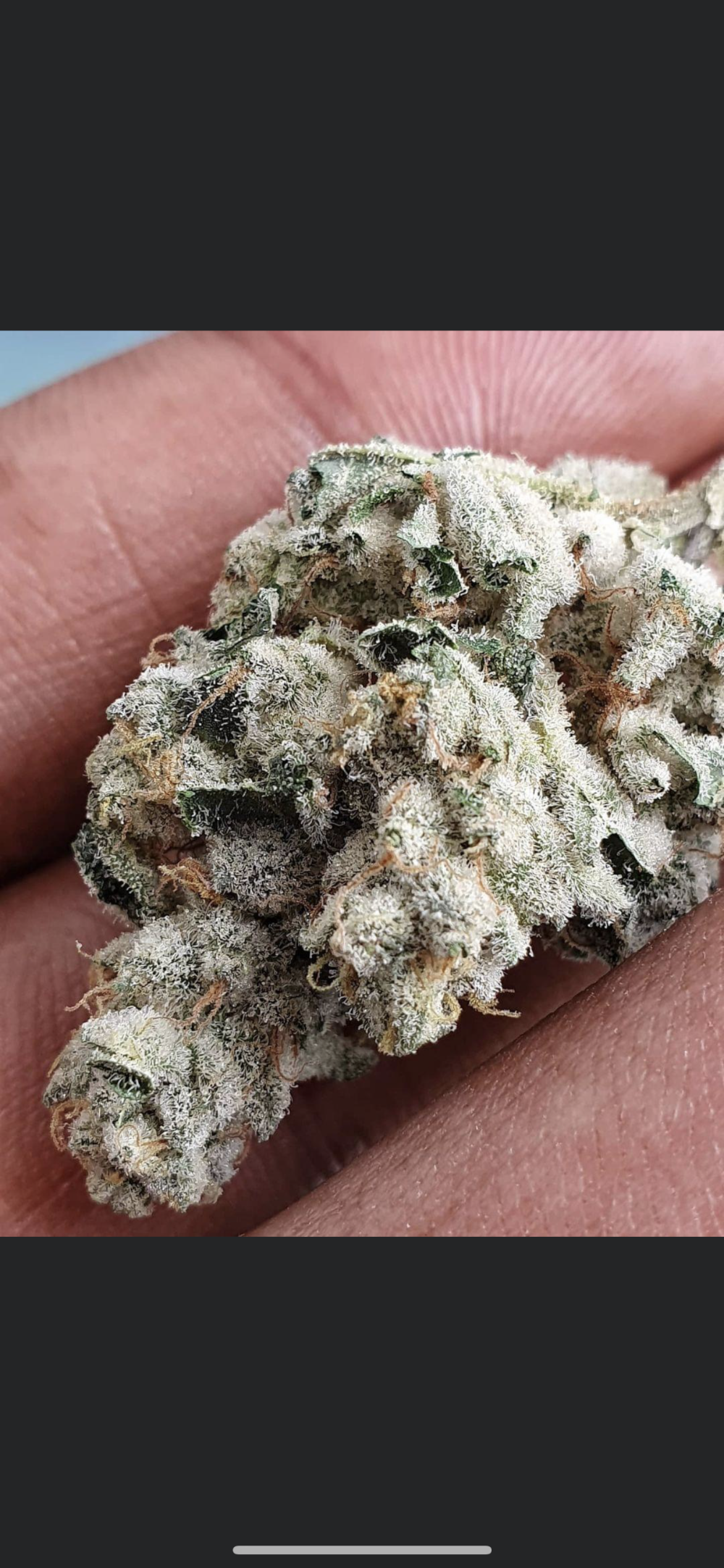 Rare Earth Dispensary photo 5