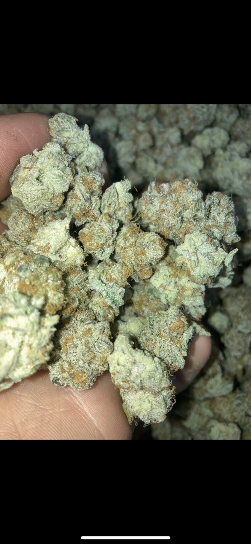 Rare Earth Dispensary photo 8