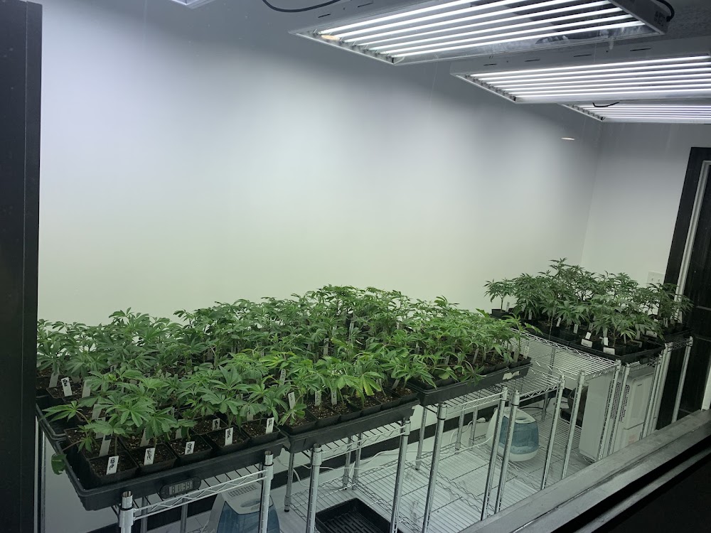 Re-Up photo 4