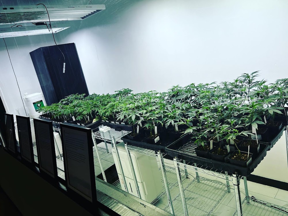 Re-Up photo 7