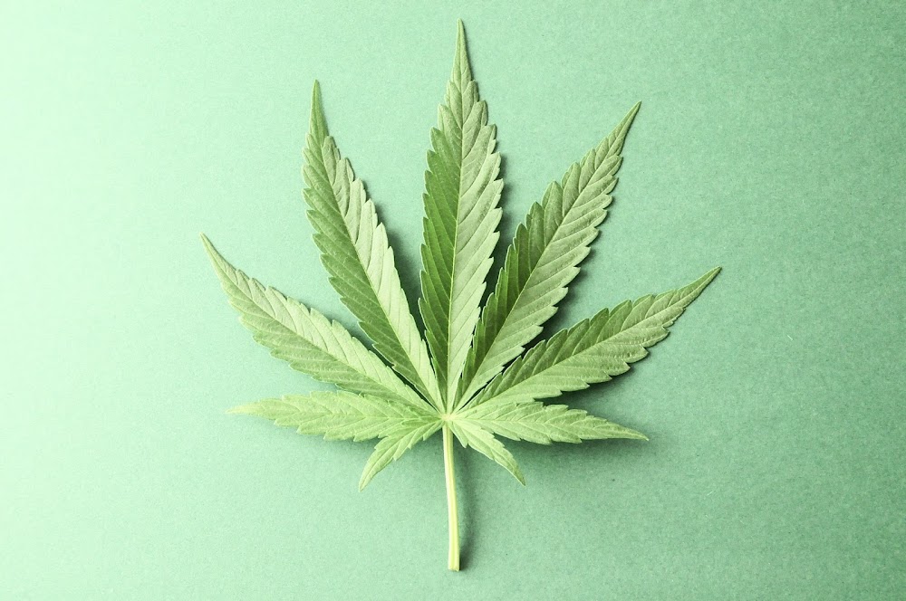Redbarn Cannabis photo 2