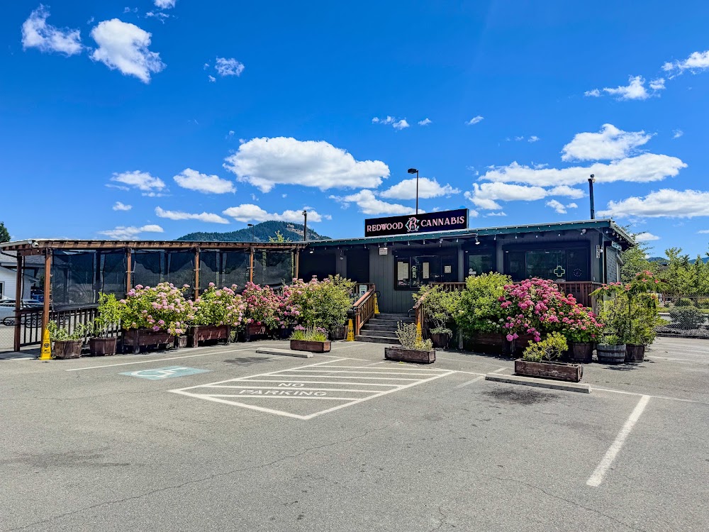 Redwood Cannabis Dispensary photo 4