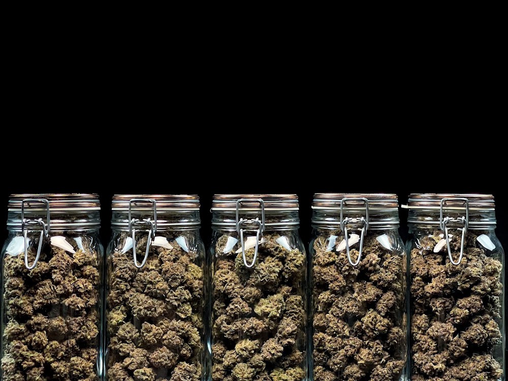 Redwood Cannabis Dispensary photo 8