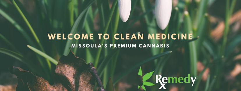 Remedy Medicinals photo 3