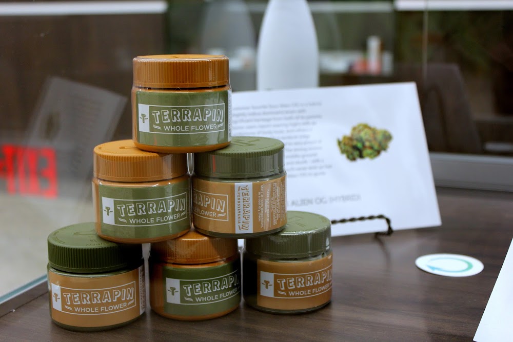 Restore Integrative Wellness Center. photo 3