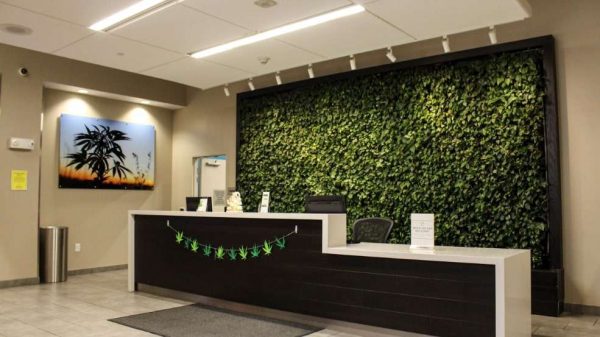 Restore Integrative Wellness Center. photo 4