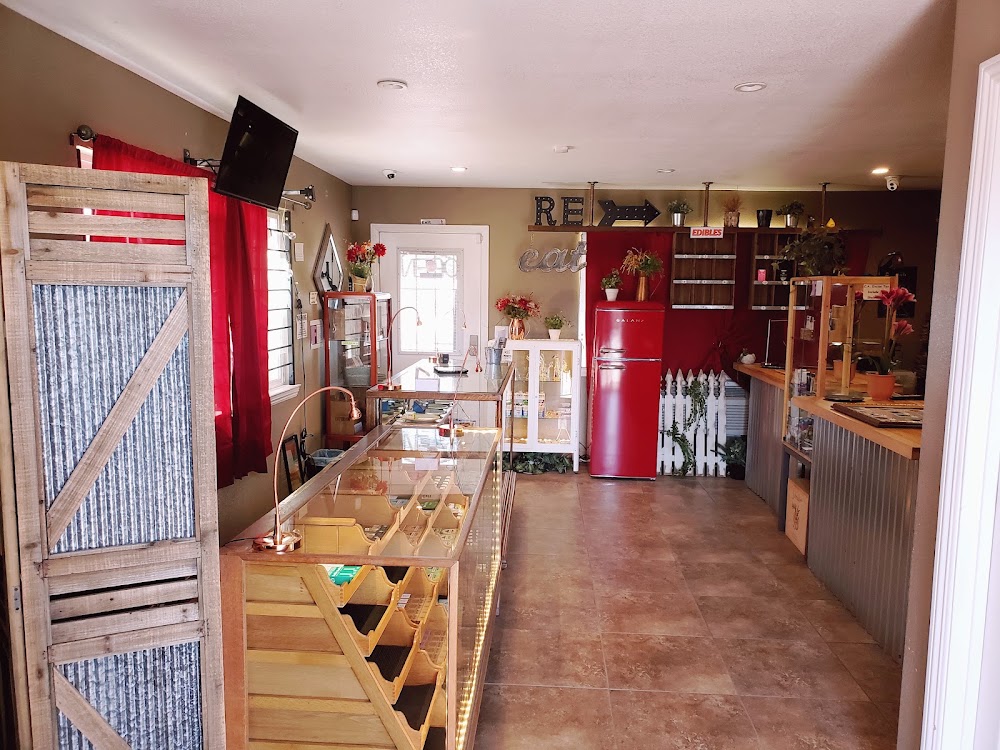 Revolution Emporium photo 8