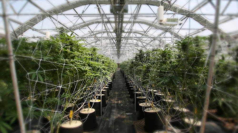 Rino Supply Company photo 2
