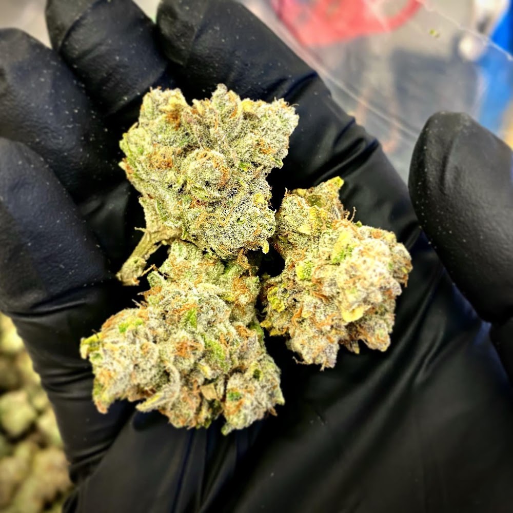 Rino Supply Company photo 8