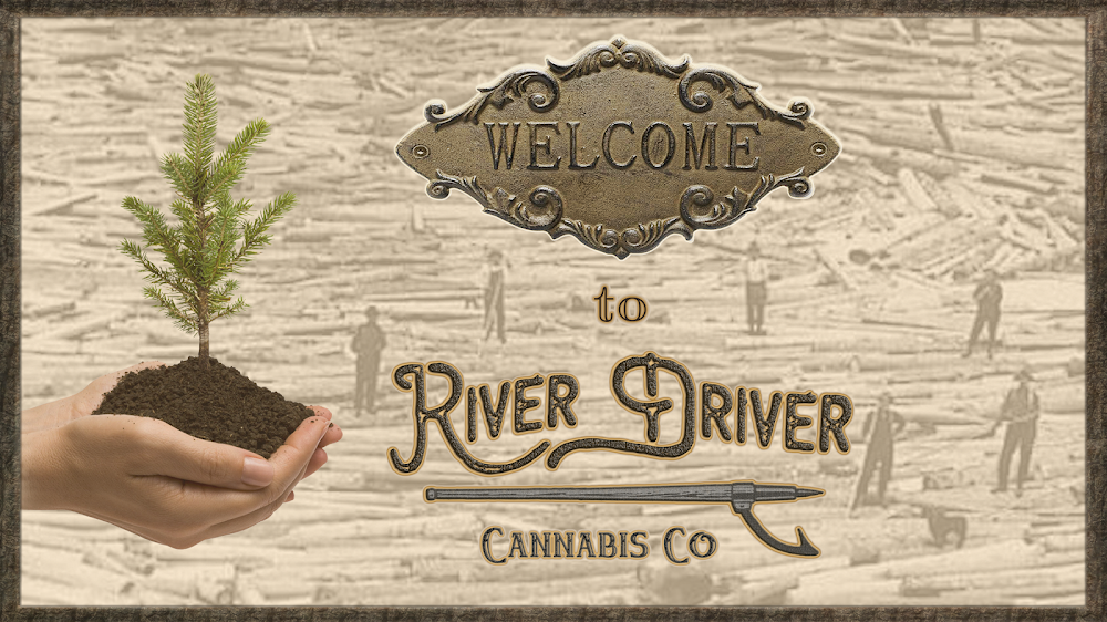 River Driver Cannabis CO. photo 5