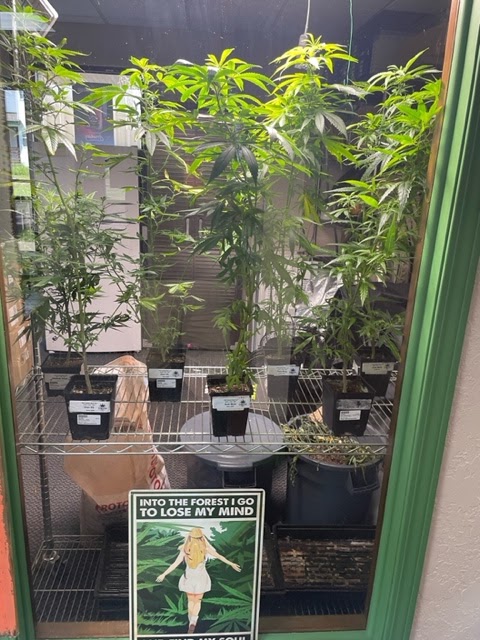 Rob & Sons Cannabis Company -Drive Thru! photo 4